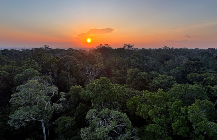 Instituto Clima e Sociedade lança edital para projetos que usam IA
