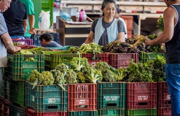 Anvisa inicia monitoramento de resíduos de agrotóxicos em alimentos