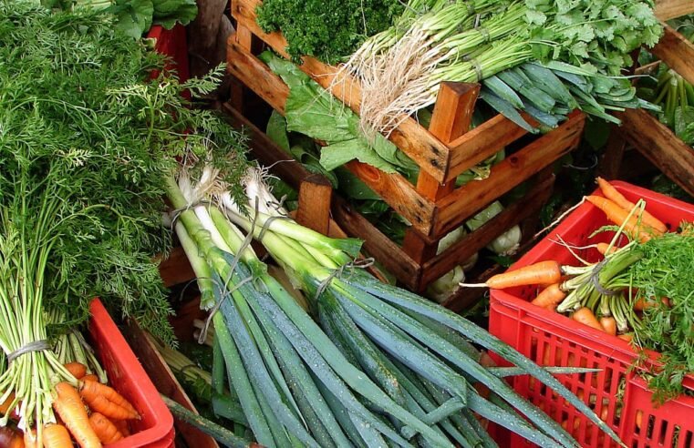 Custo de cesta básica ideal para uma pessoa chega a R$ 432 em abril