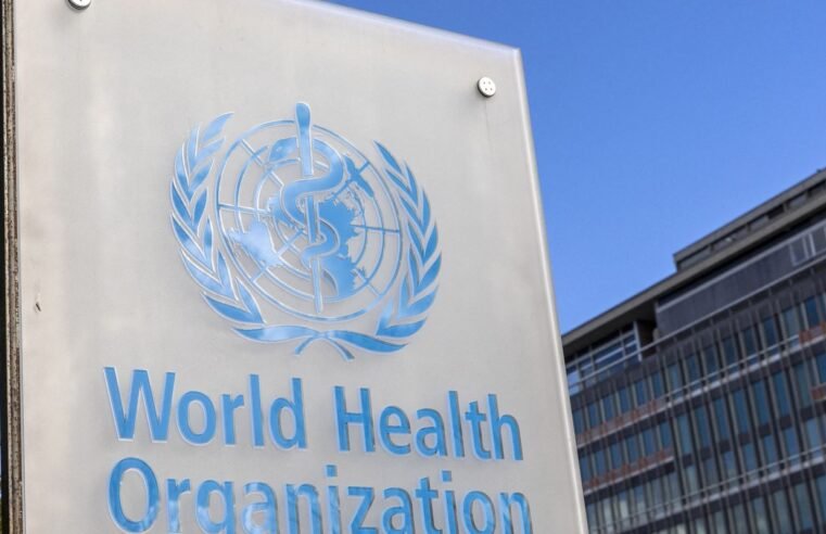 OMS alerta para surto de antraz na República Democrática do Congo