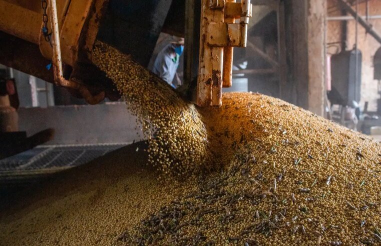 PIB atinge patamar recorde pelo 14º trimestre seguido