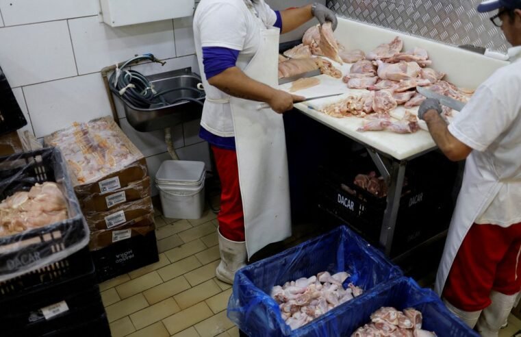 Prazo de 28 dias para Brasil ficar livre da gripe aviária começa hoje