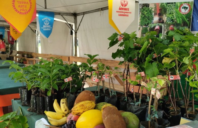 Feira da Reforma Agrária oferece alimentos produzidos por acampamentos