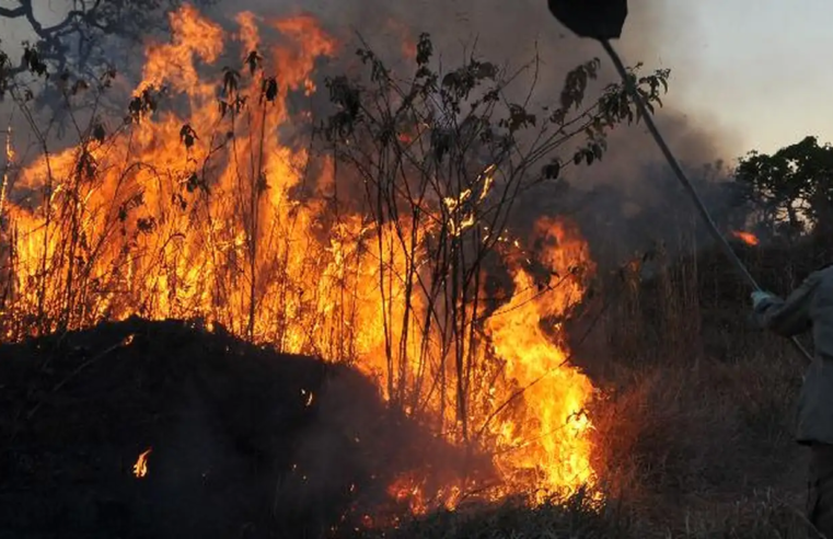Ibama multa 242 pessoas por incêndios criminosos em 2024