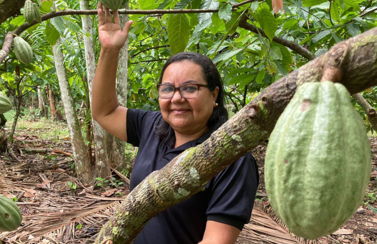 Potencial para bioeconomia atrai investimentos na Amazônia
