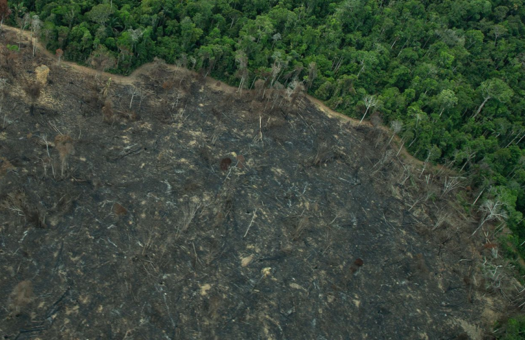 Projeto “implode” licenciamento ambiental no Brasil, diz especialista