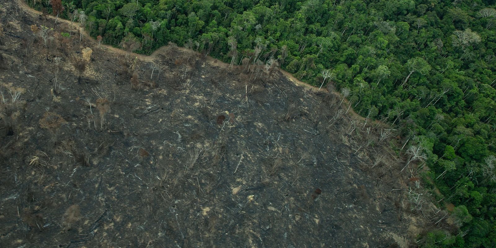 Projeto de lei “implode” licenciamento ambiental, diz especialista