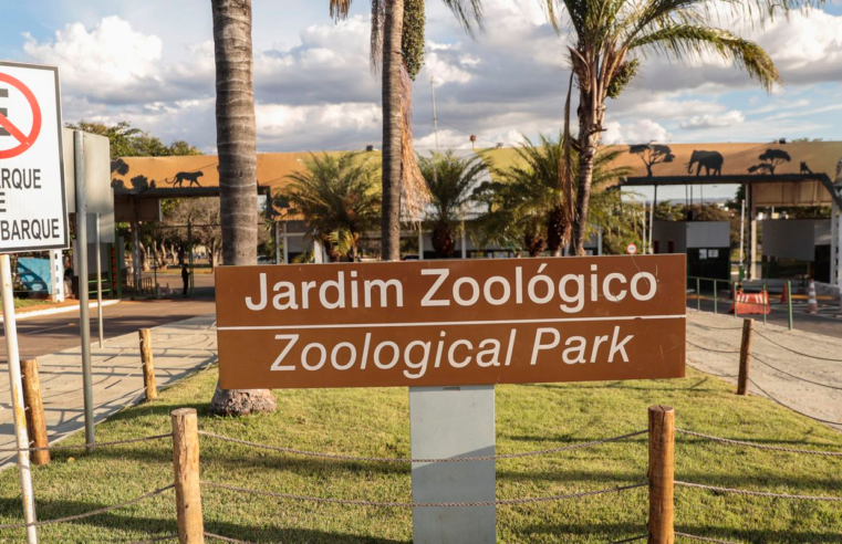 Zoológico de Brasília é fechado após suspeita de gripe aviária
