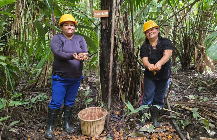 Mulheres extrativistas enfrentam preconceito e geram renda na Amazônia