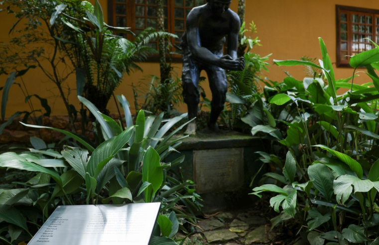Placa homenageia 11 escravizados que reflorestaram Floresta da Tijuca