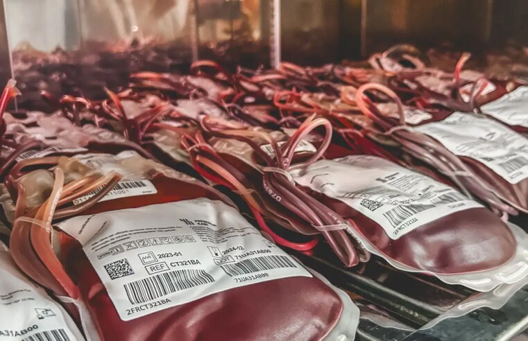 Dia Mundial do Doador de Sangue: uma única doação pode salvar 3 vidas