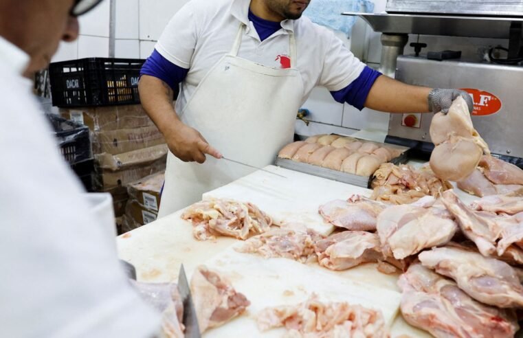 Gripe aviária: 17 países suspendem restrição à carne brasileira 