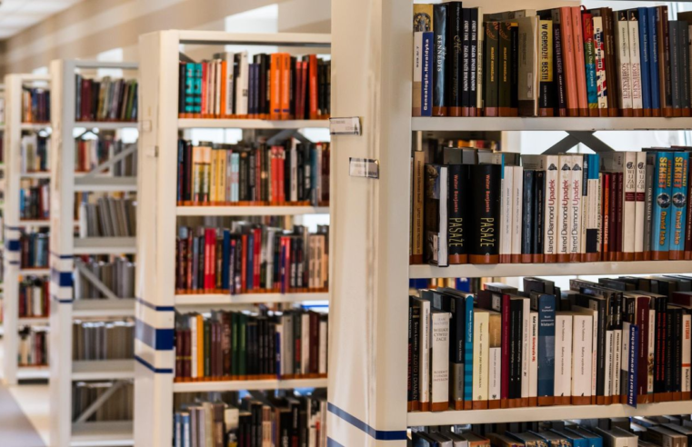 Edital destina R$ 550 mil para ações que fomentem leitura e escrita