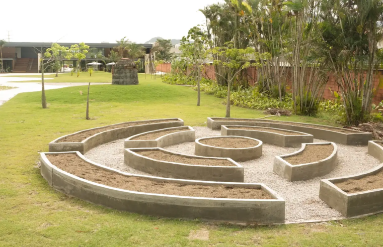 Museu do Pontal lança programação voltada à conscientização ambiental