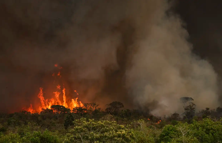 Queimadas fazem desmatamento crescer 92% na Amazônia em maio