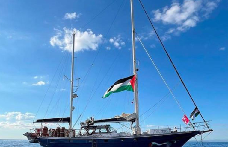 Governo brasileiro pede libertação de ativistas detidos em Gaza