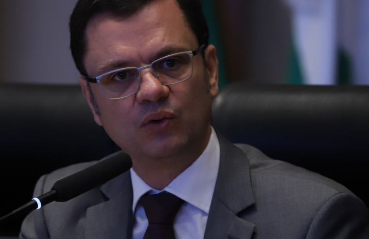 Torres admite desconhecimento técnico sobre sistema eleitoral