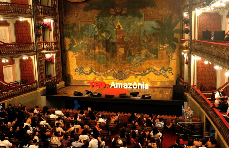Em ano de COP30, evento em Belém debate restauração da Amazônia
