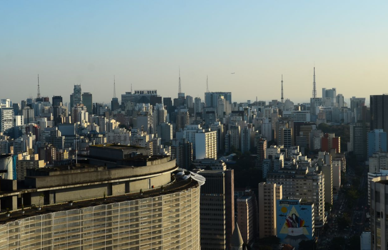 Prédios com vidraças nas cidades ameaçam aves, aponta pesquisa