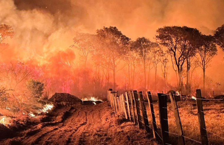 Ações da Operação Incêndios 2025 da PF iniciam pelo Pantanal