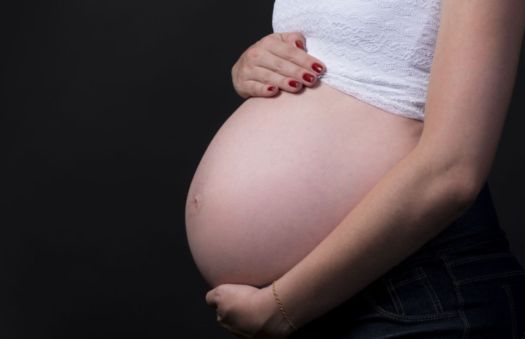 Brasileiras estão tendo menos filhos e adiam maternidade, diz Censo