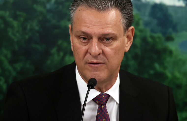 Combate à gripe aviária mostra eficiência do Brasil, diz ministro