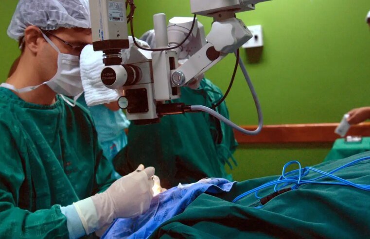 Exames são importantes para diagnóstico do câncer de intestino