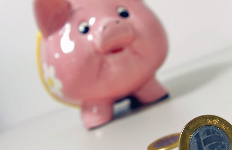 Poupança tem entrada líquida de R$ 2,1 bilhões em junho