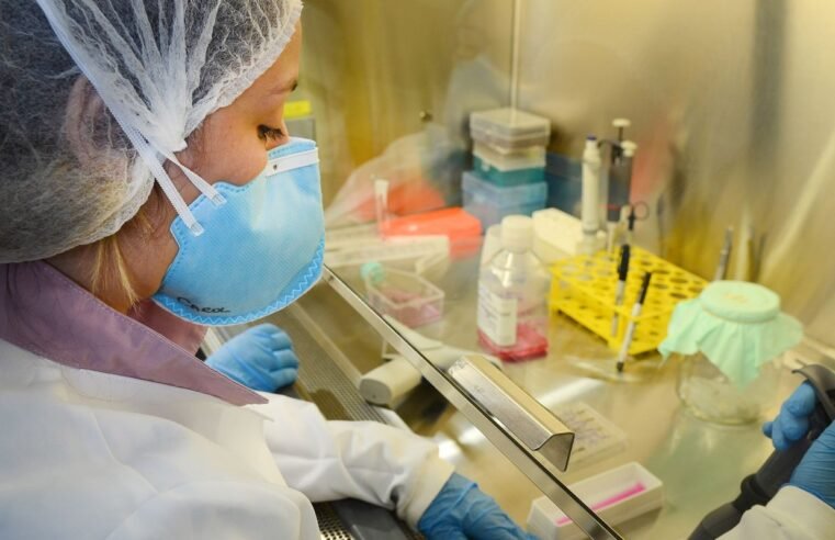 USP: pesquisa de vacina contra zika avança em testes com camundongos