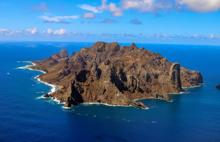 Ilha capixaba aumenta flora nativa e é modelo de restauração ambiental