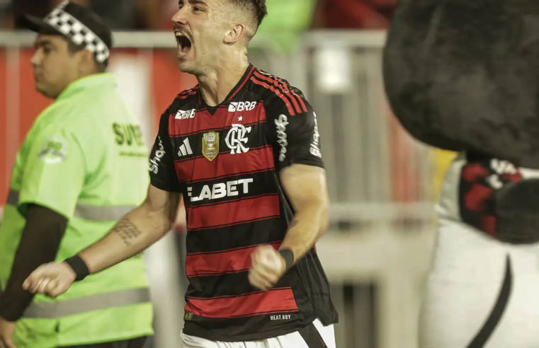 Flamengo vence o Galo e é o novo líder do Campeonato Brasileiro