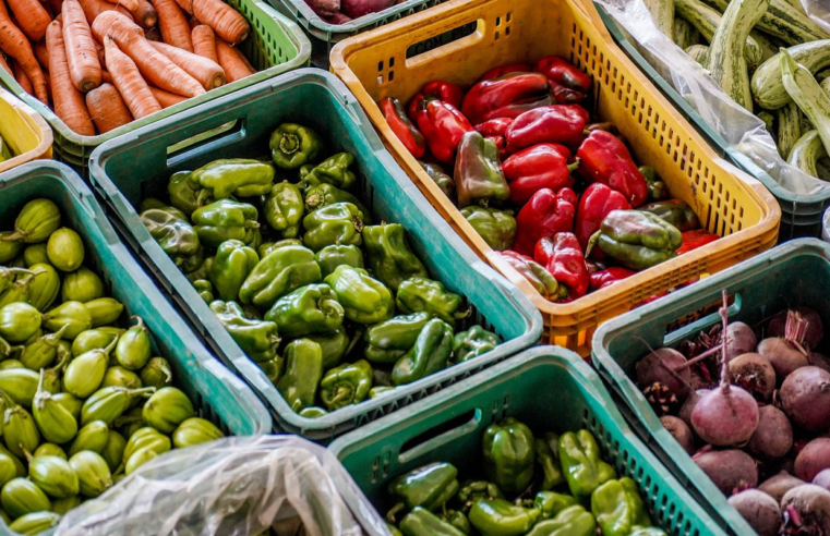 Com país fora do Mapa da Fome, Lula diz ser homem mais feliz do mundo 