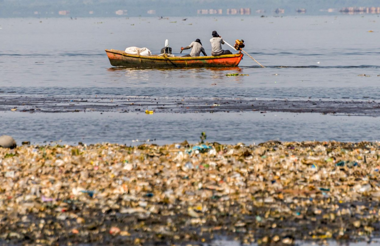 Pescadores tiram 46 toneladas de lixo em baías de Guanabara e Sepetiba