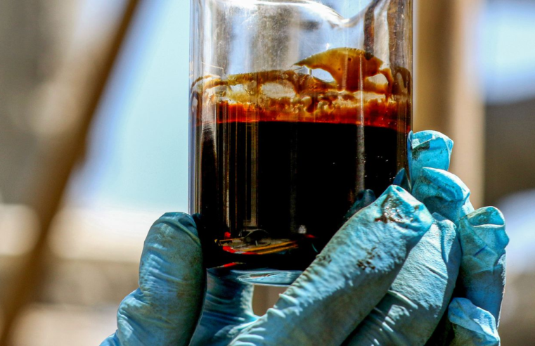 Estados Unidos compram 8% de todo o petróleo exportado pela Petrobras