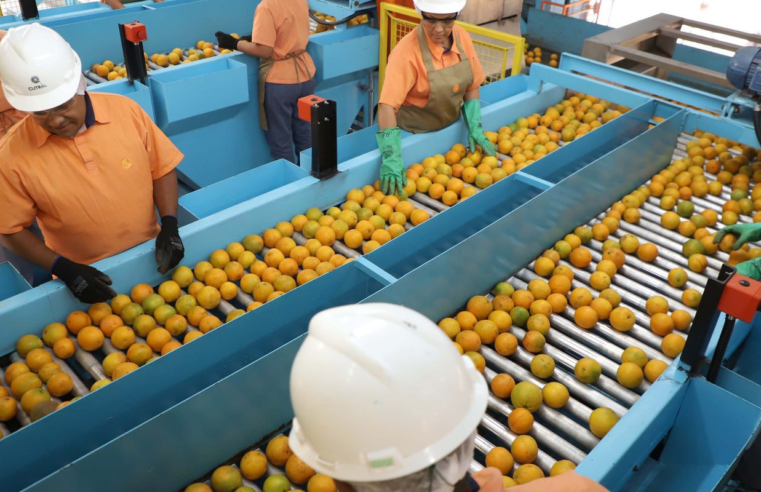 Confira a lista de quase 700 produtos que não serão taxados pelos EUA