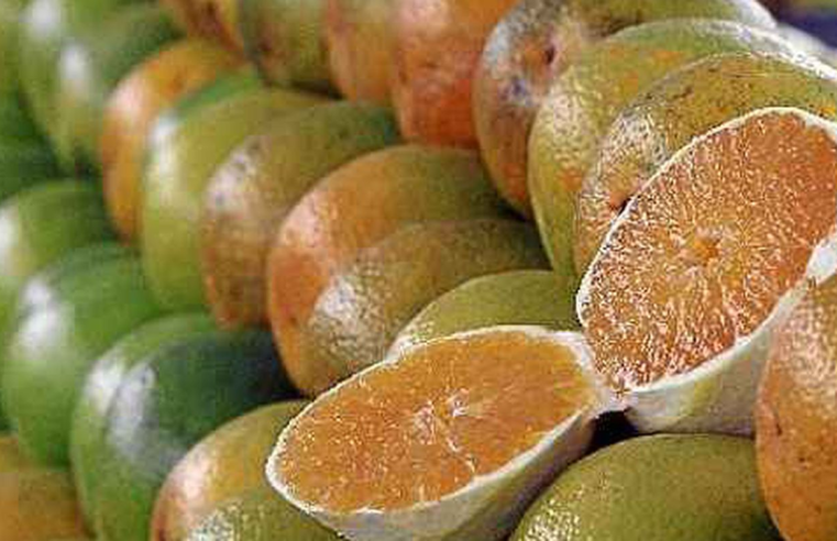 Exceções do tarifaço representam 43,4% do valor exportado aos EUA