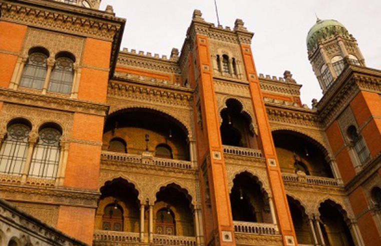 Fiocruz vai produzir remédio para atrofia muscular espinhal