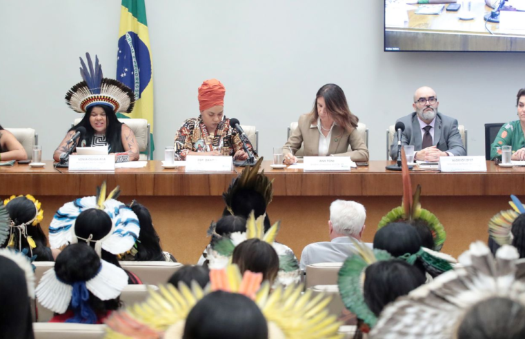 Brasil monitora direitos de indígenas e mulheres em metas da COP30
