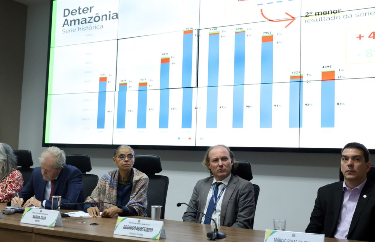 Em 12 meses, desmatamento cai 20% no Cerrado e sobe 4% na Amazônia