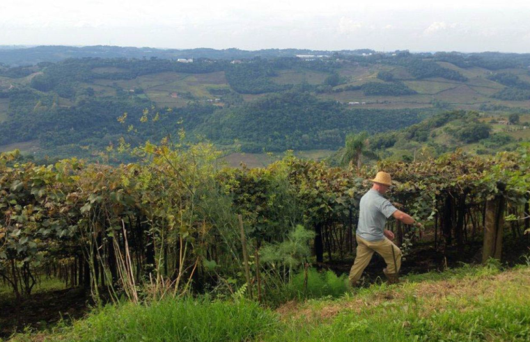 Entrega da declaração do ITR 2025 começa nesta segunda-feira