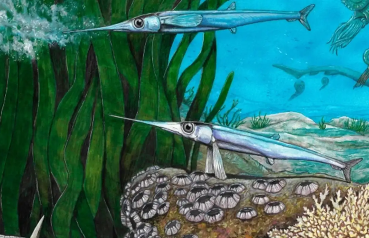 Cientistas brasileiros identificam nova espécie de peixe pré-histórico