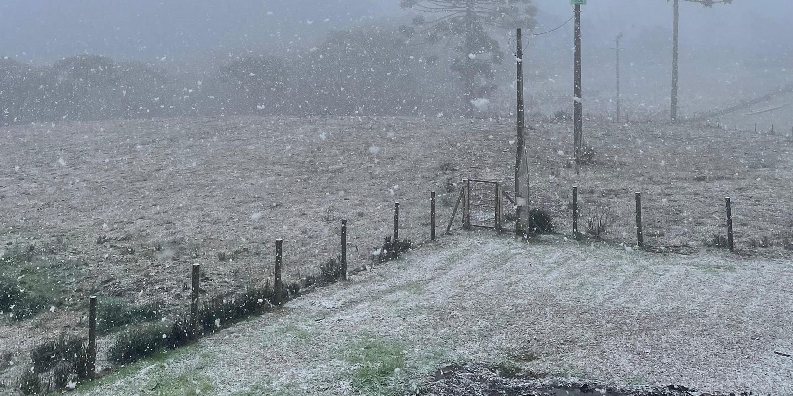 Baixas temperaturas podem causar geadas no Sul e Sudeste, diz Inmet