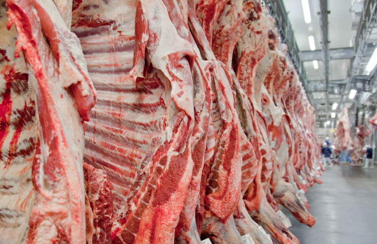 Exportação de carne bovina bate recorde em mês anterior ao tarifaço