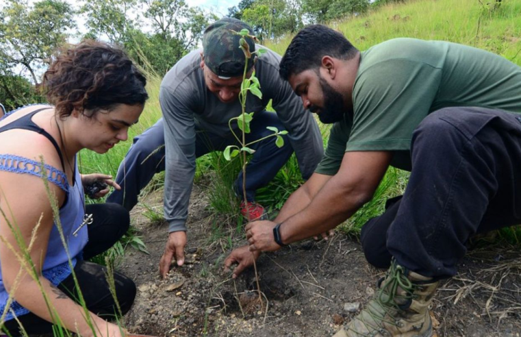 Rio: mutirão na Serra do Vulcão promove ações climáticas da periferia