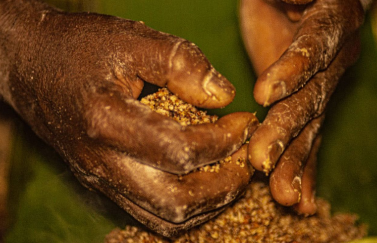 Grileiros ameaçam pesquisadores do Incra em área rural de Goiás