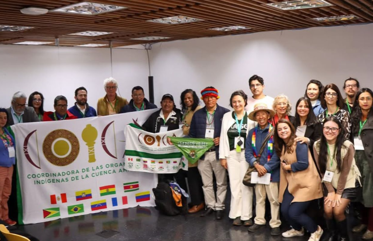 Organizações sociais querem participação na governança da OTCA