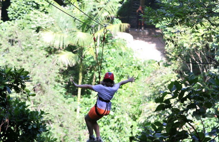 Gestores aprovam modelo de concessão de parques naturais e urbanos