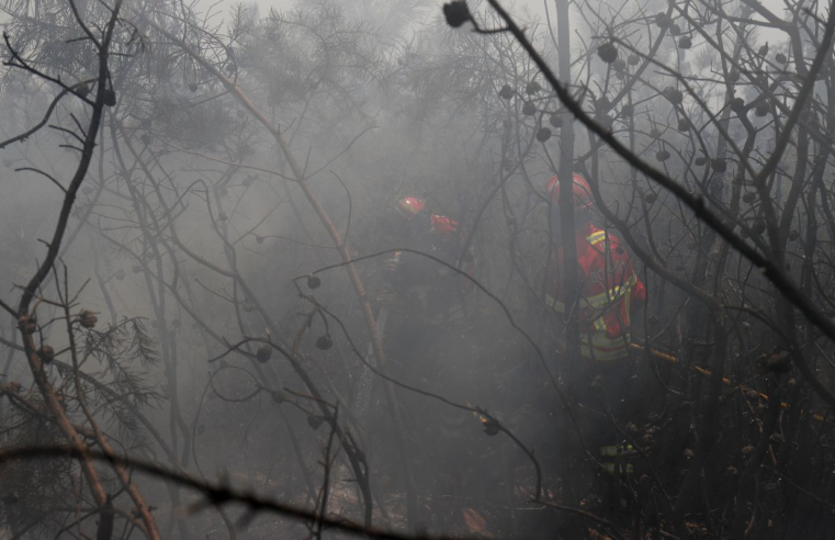 UE: incêndios florestais já queimaram mais de 1 milhão de hectares