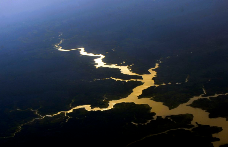 Mudança do clima: Amazônia reúne pesquisadores do Brasil e França