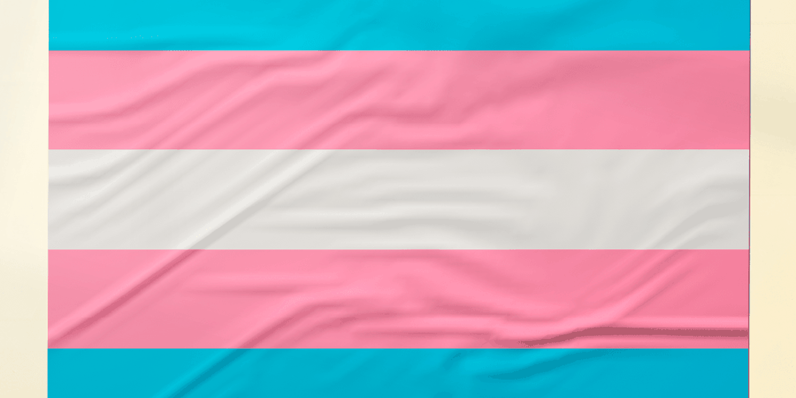 Pesquisa recomenda ações de prevenção ao HPV focadas em pessoas trans